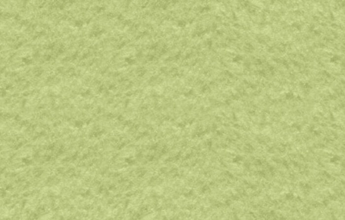Minkštas fleece pledas|150×200 cm | Apple Green / Grafitas